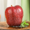 8 cm Größe roter Stern Huaniu Äpfel Früchte Preis